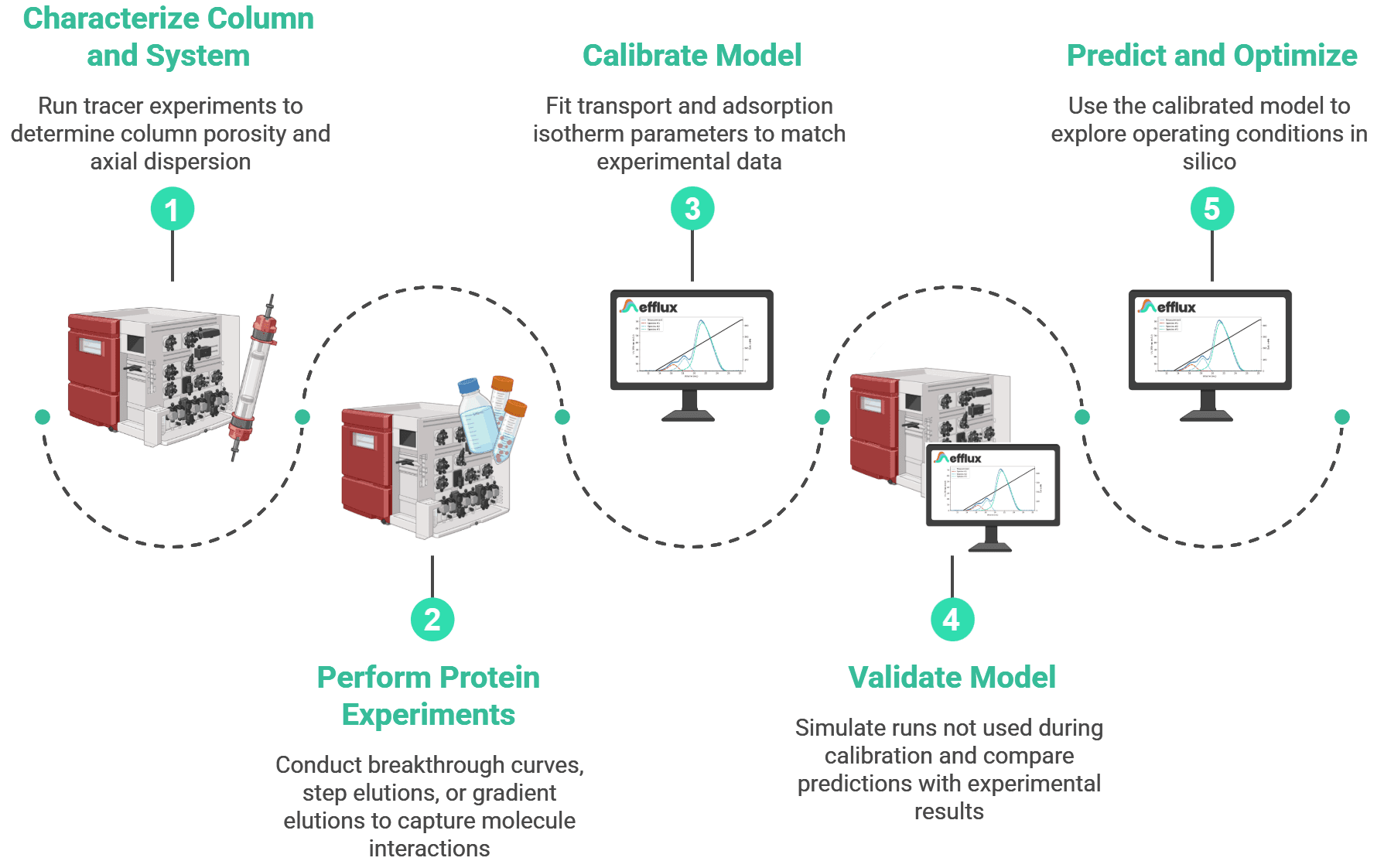 Mechanistic modeling workflow diagram showing five steps: Characterize Column and System, Perform Protein Experiments, Calibrate Model, Validate Model, and Predict and Optimize